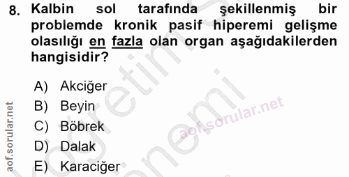 8. soru: Kalbin sol tarafında şekillenmiş bir problemde kronik pasif hiperemi gelişme olasılığı en fazla olan organ aşağıdakil…