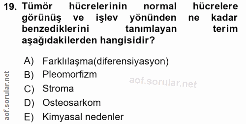 19. soru: Tümör hücrelerinin normal hücrelere görünüş ve işlev yönünden ne kadar benzediklerini tanımlayan terim aşağıdakilerde…