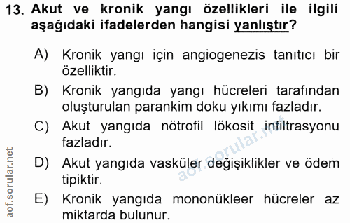 13. soru: Akut ve kronik yangı özellikleri ile ilgili aşağıdaki ifadelerden hangisi yanlıştır? A) Kronik yangı için angiogenezi…