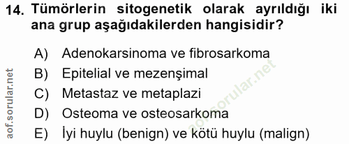 14. soru: Tümörlerin sitogenetik olarak ayrıldığı iki ana grup aşağıdakilerden hangisidir? A) Adenokarsinoma ve fibrosarkoma B)…