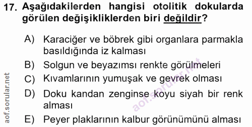 17. soru: Aşağıdakilerden hangisi otolitik dokularda görülen değişikliklerden biri değildir? A) Karaciğer ve böbrek gibi organl…