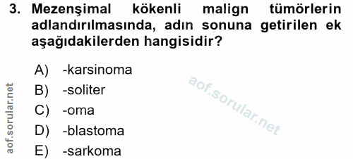 3. soru: Mezenşimal kökenli malign tümörlerin adlandırılmasında, adın sonuna getirilen ek aşağıdakilerden hangisidir? A) -kars…