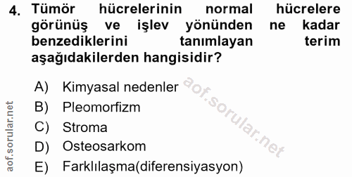 4. soru: Tümör hücrelerinin normal hücrelere görünüş ve işlev yönünden ne kadar benzediklerini tanımlayan terim aşağıdakilerde…