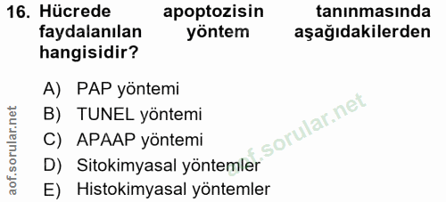 16. soru: Hücrede apoptozisin taninmasında faydalanılan yöntem aşağıdakilerden hangisidir? A) PAP yöntemi B) TUNEL yöntemi C) A…
