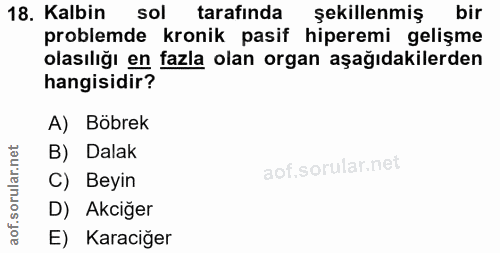 18. soru: Kalbin sol tarafında sekillenmiş bir problemde kronik pasif hiperemi gelişme olasılığı en fazla olan organ aşağıdakil…