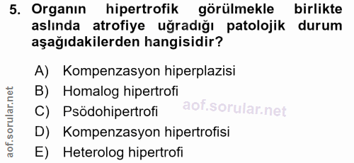 5. soru: Organın hipertrofik görülmekle birlikte aslında atrofiye uğradığı patolojik durum aşağıdakilerden hangisidir? A) Komp…