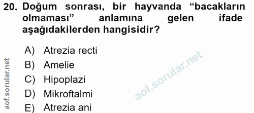 20. soru: Doğum sonrası, bir hayvanda "bacakların olmaması" anlamına gelen ifade aşağıdakilerden hangisidir? A) Atrezia recti B…
