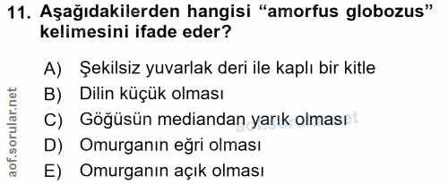11. soru: Aşağıdakilerden hangisi "amorfus globozus" kelimesini ifade eder? A) Şekilsiz yuvarlak deri ile kaplı bir kitle B) Di…