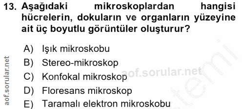 13. soru: Aşağıdaki mikroskoplardan hangisi hücrelerin, dokuların ve organların yüzeyine ait üç boyutlu görüntüler oluşturur? A…