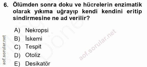 6. soru: Ölümden sonra doku ve hücrelerin enzimatik olarak yıkıma uğrayıp kendi kendini eritip sindirmesine ne ad verilir? A)…