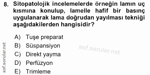 8. soru: Sitopatolojik incelemelerde örneğin lamın uç kısmına konulup, lamelle hafif bir basınç uygulanarak lama doğrudan yayı…