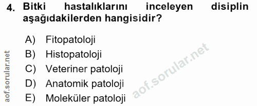 4. soru: Bitki hastalıklarını inceleyen disiplin aşağıdakilerden hangisidir? A) Fitopatoloji B) Histopatoloji C) Veteriner pat…