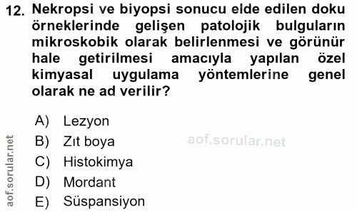 12. soru: Nekropsi ve biyopsi sonucu elde edilen doku örneklerinde gelişen patolojik bulguların mikroskobik olarak belirlenmesi…