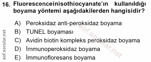 16. soru: Fluorescenceinisothiocyanate in kullanıldığı boyama yöntemi aşağıdakilerden hangisidir? A) Peroksidaz anti-peroksidaz…