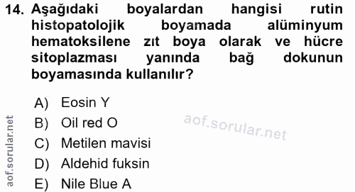 14. soru: Aşağıdaki boyalardan hangisi rutin histopatolojik boyamada alüminyum hematoksilene zıt boya olarak ve hücre sitoplazm…