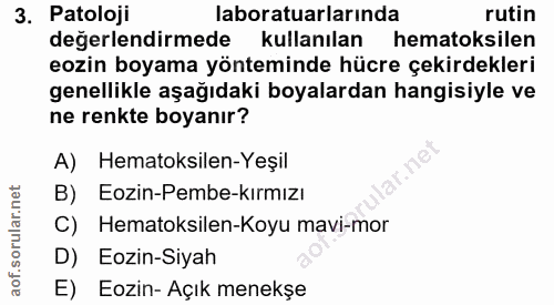3. soru: Patoloji laboratuarlarında rutin değerlendirmede kullanılan hematoksilen eozin boyama yönteminde hücre çekirdekleri g…
