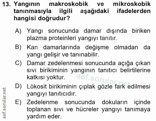 13. soru: Yangının makroskobik ve mikroskobik tanınmasıyla ilgili aşağıdaki ifadelerden hangisi doğrudur? A) Yangı sonucunda da…