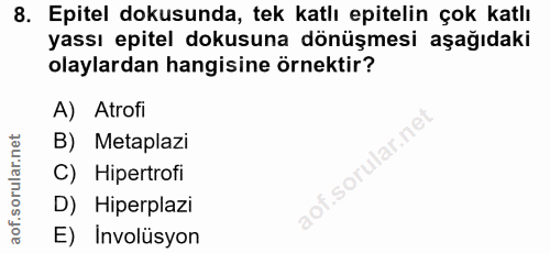 8. soru: Epitel dokusunda, tek katlı epitelin çok katlı yassı epitel dokusuna dönüşmesi aşağıdaki olaylardan hangisine örnekti…