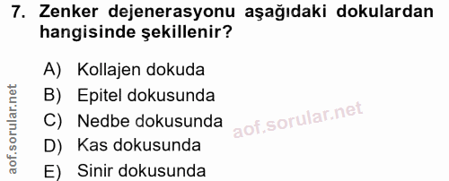 7. soru: Zenker dejenerasyonu aşağıdaki dokulardan hangisinde şekillenir? A) Kollajen dokuda B) Epitel dokusunda C) Nedbe doku…