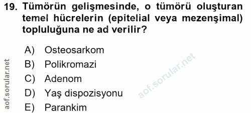 19. soru: Tümörün gelişmesinde, o tümörü oluşturan temel hücrelerin (epitelial veya mezenşimal) topluluğuna ne ad verilir? A) O…