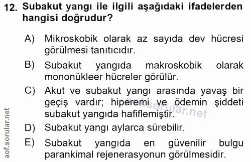 12. soru: Subakut yangı ile ilgili aşağıdaki ifadelerden hangisi doğrudur? A) Mikroskobik olarak az sayıda dev hücresi görülmes…