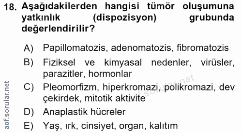 18. soru: Aşağıdakilerden hangisi tümör oluşumuna yatkınlık (dispozisyon) grubunda değerlendirilir? A) Papillomatozis, adenomat…
