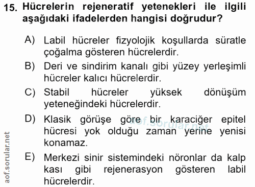 15. soru: Hücrelerin rejeneratif yetenekleri ile ilgili aşağıdaki ifadelerden hangisi doğrudur? A) Labil hücreler fizyolojik ko…