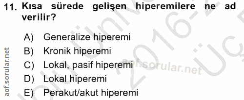 11. soru: Kısa sürede gelişen hiperemilere ne ad verilir? A) Generalize hiperemi B) Kronik hiperemi C) Lokal, pasif hiperemins@…