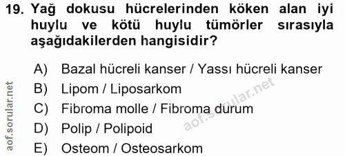 19. soru: Yağ dokusu hücrelerinden köken alan iyi huylu ve kötü huylu tümörler sırasıyla aşağıdakilerden hangisidir? A) Bazal h…