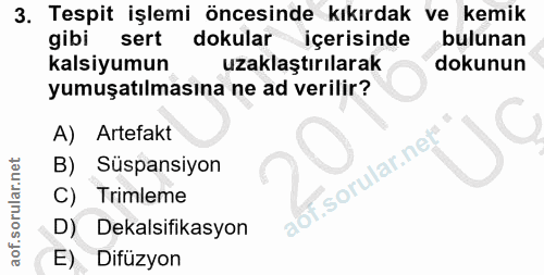 3. soru: Tespit işlemi öncesinde kıkırdak ve kemik gibi sert dokular içerisinde bulunan kalsiyumun uzaklaştırılarak dokunun yu…