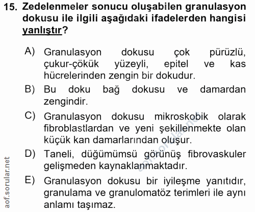 15. soru: Zedelenmeler sonucu oluşabilen granulasyon dokusu ile ilgili aşağıdaki ifadelerden hangisi yanlıştır? A) Granulasyon…