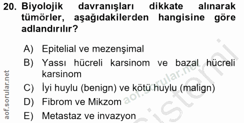 20. soru: Biyolojik davranışları dikkate alınarak tümörler, aşağıdakilerden hangisine göre adlandırılır? A) Epitelial ve mezenș…
