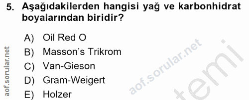 5. soru: Aşağıdakilerden hangisi yağ ve karbonhidrat boyalarından biridir? A) Oil Red O B) Masson's Trikrom C) Van-Gieson D) G…