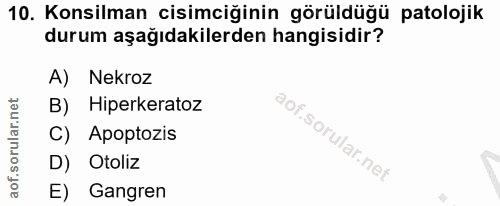 10. soru: Konsilman cisimciğinin görüldüğü patolojik durum aşağıdakilerden hangisidir? A) Nekroz B) Hiperkeratoz C) Apoptozis D…