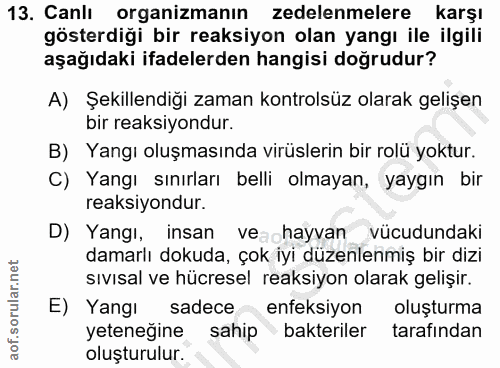 13. soru: Canlı organizmanın zedelenmelere karşı gösterdiği bir reaksiyon olan yangı ile ilgili aşağıdaki ifadelerden hangisi d…