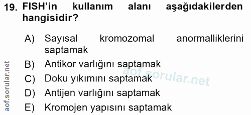 19. soru: FISH'in kullanım alanı aşağıdakilerden hangisidir? A) Sayısal kromozomal anormalliklerini saptamak B) Antikor varlığı…