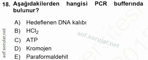 18. soru: Aşağıdakilerden hangisi PCR bufferinda bulunur? A) Hedeflenen DNA kalıbı B) HC/2 C) ATP D) Kromojen E) Paraformaldehit