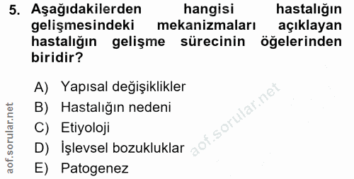 5. soru: Aşağıdakilerden hangisi hastalığın gelişmesindeki mekanizmaları açıklayan hastalığın gelişme sürecinin öğelerinden bi…