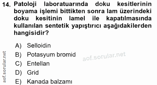 14. soru: Patoloji laboratuarında doku kesitlerinin boyama işlemi bittikten sonra lam üzerindeki doku kesitinin lamel ile kapat…