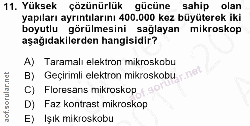 11. soru: Yüksek çözünürlük gücüne sahip olan yapıları ayrıntılarını 400.000 kez büyüterek iki boyutlu görülmesini sağlayan mik…