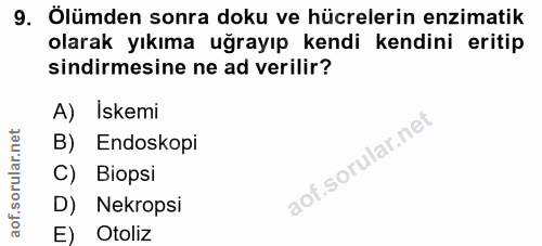 9. soru: Ölümden sonra doku ve hücrelerin enzimatik olarak yıkıma uğrayıp kendi kendini eritip sindirmesine ne ad verilir? A)…