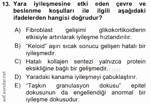 13. soru: Yara iyileşmesine etki eden çevre ve beslenme koşulları ile ilgili aşağıdaki ifadelerden hangisi doğrudur? A) Fibrobl…
