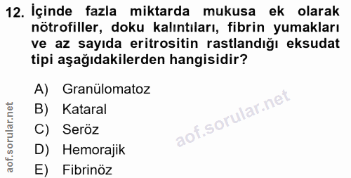 12. soru: İçinde fazla miktarda mukusa ek olarak nötrofiller, doku kalıntıları, fibrin yumakları ve az sayıda eritrositin rastl…