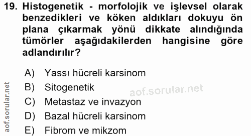 19. soru: Histogenetik - morfolojik ve işlevsel olarak benzedikleri ve köken aldıkları dokuyu ön plana çıkarmak yönü dikkate al…