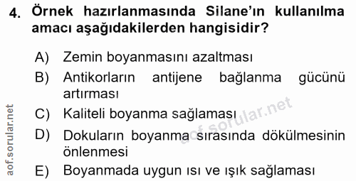 4. soru: Örnek hazırlanmasında Silane'ın kullanılma amacı aşağıdakilerden hangisidir? A) Zemin boyanmasını azaltması B) Antiko…