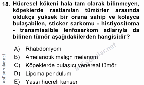 18. soru: Hücresel kökeni hala tam olarak bilinmeyen, köpeklerde rastlanılan tümörler arasında oldukça yüksek bir orana sahip v…