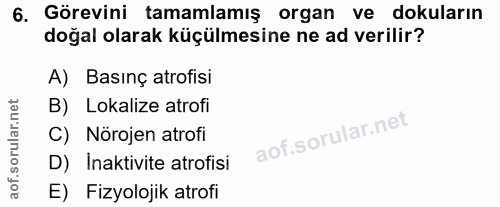 6. soru: Görevini tamamlamış organ ve dokuların doğal olarak küçülmesine ne ad verilir? A) Basınç atrofisi B) Lokalize atrofi…