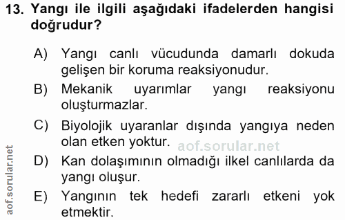 13. soru: Yangı ile ilgili aşağıdaki ifadelerden hangisi doğrudur? A) Yangı canlı vücudunda damarlı dokuda gelişen bir koruma r…