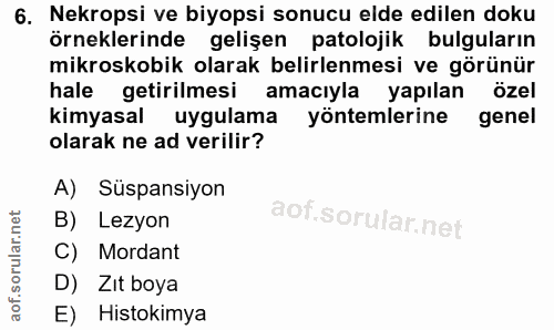 6. soru: Nekropsi ve biyopsi sonucu elde edilen doku örneklerinde gelişen patolojik bulguların mikroskobik olarak belirlenmesi…