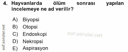 4. soru: Hayvanlarda ölüm sonrası yapılan incelemeye ne ad verilir? A) Biyopsi B) Otopsi C) Endoskopi D) Nekropsi aof. E) Aspi…